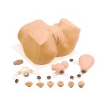 Maniquí Eva para ginecología (pelvis) SIM-PP01900U MARCA -  Simulaids