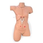 Simulador de vendaje "Surgical Sally" NAS-LF00929U MARCA -  Nasco