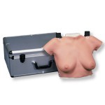 Modelo para la autoexaminación de mamas para colgar 3BS-L50 MARCA -  3b Scientific