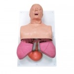 Manejo de vías respiratorias en adultos NAS-PP00501U MARCA -  Nasco
