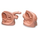 Simuladores de cateterizacion urinaria para hombres y mujeres NAS-LF01152U MARCA -  Nasco