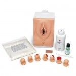 Simulador de examen cervical y prueba de papanicolaou NAS-LF01230U MARCA -  Nasco