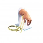 Mano para inyecciones intravenosas (Simulador IV) NAS-LF01139U MARCA -  Nasco