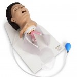 Entrenador de gestión de vías aéreas para adultos con soporte NAS-LF03601 MARCA -  Nasco